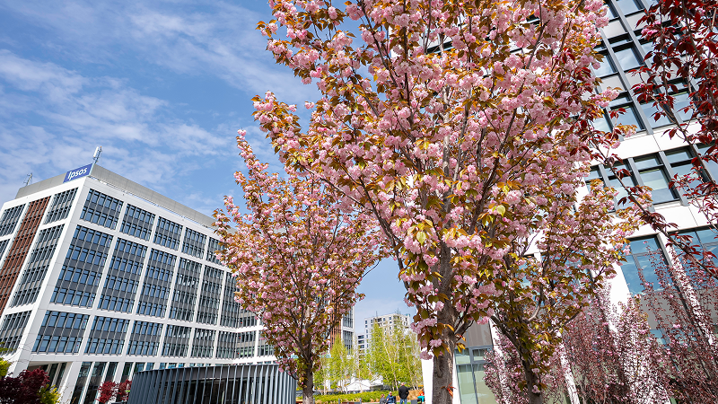 Ipsos moves its office to Business Garden Bucharest