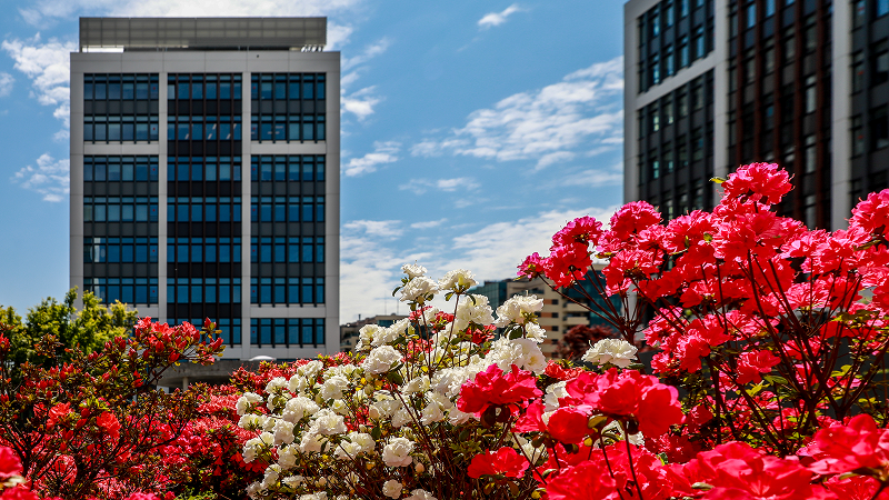Pandora isi muta biroul din Romania la Business Garden Bucharest