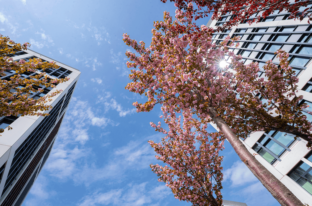 Tchibo Brands Romania moves its office to Business Garden Bucharest